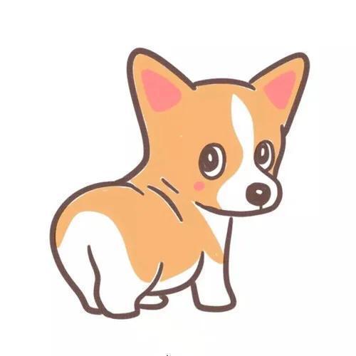 拉布拉多幼犬怎么补钙:狗狗补钙需要专门吃钙片吗？