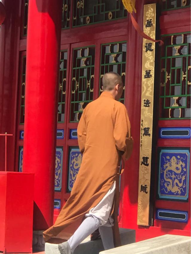 身上带仙气的人的特点:你见过最有仙气的女演员是谁