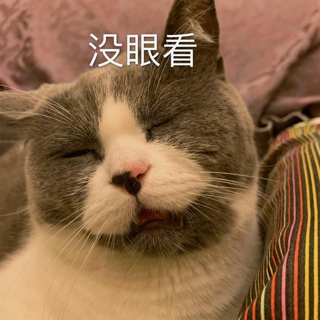 母猫绝育后大小便去猫砂盆吗:母猫做完绝育手术总是待在猫砂盆 猫咪会用猫砂为什么还随地大小便？