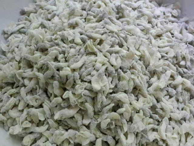 洋槐:洋槐树 过去的人们为什么爱采食洋槐花？你吃过洋槐花吗？