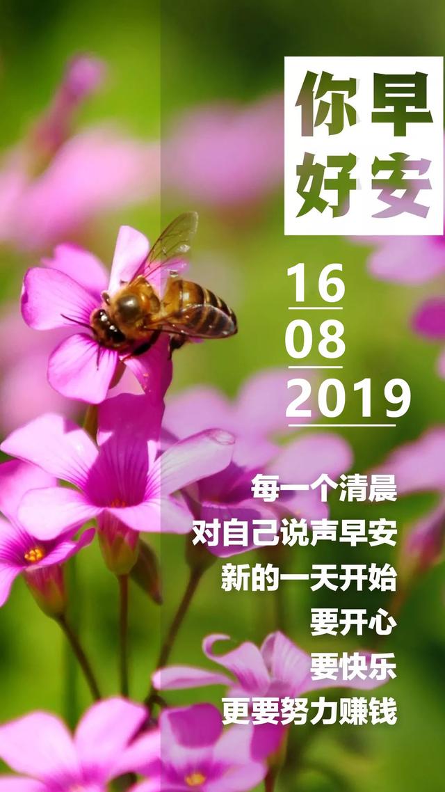 早安图片日签周五190816：只过好当天的日子，也不失为一种智慧