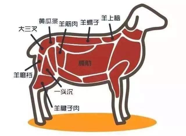 涮羊肉起源于什么朝代，哪个部位的羊肉适合火锅？怎样最好吃？