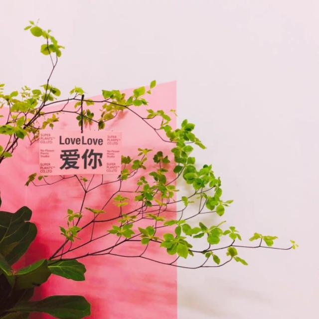 初恋剧情:电视剧《初恋那件小事》有哪些不合理的剧情让你忍不住想吐槽？