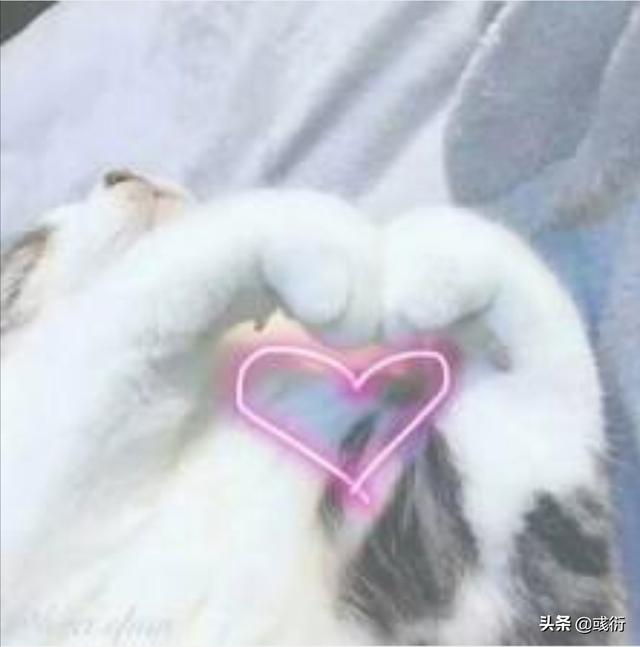 异地恋,需要注意些什么？