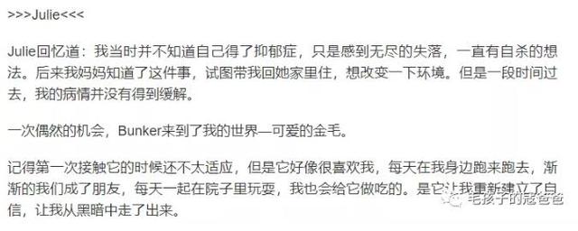 狗保姆:为什么有的狗狗会成为主人的“精神保姆”？ 狗保姆是谁
