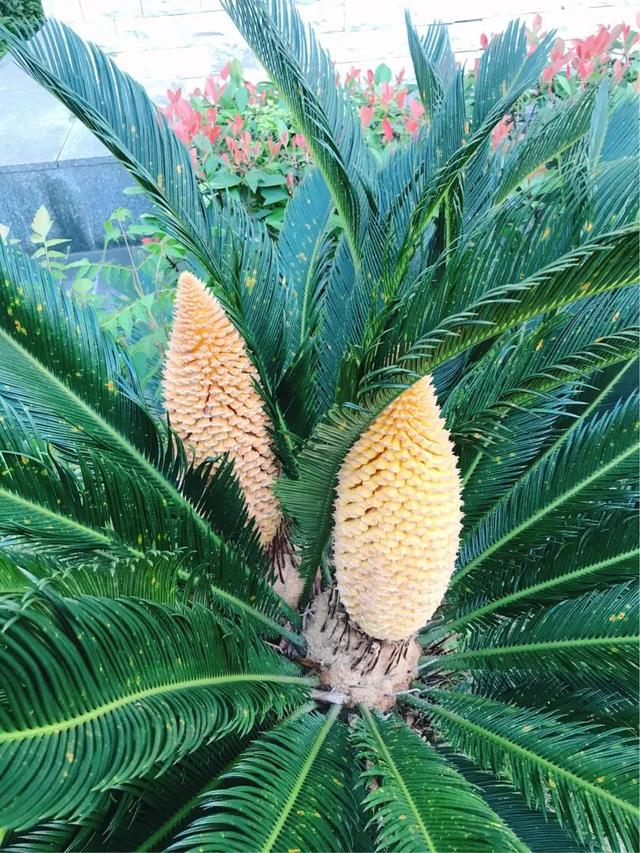 姓名可以惊艳到什么程度？插图1