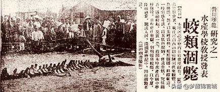 2000山东坠龙事件照片，中国历史上发生过哪些超自然事件