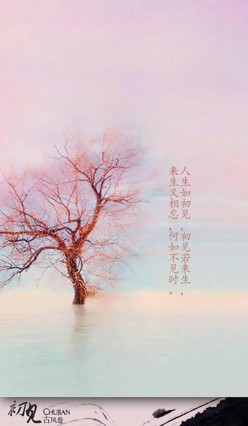 木兰花令:怎么理解纳兰的《木兰花令》——人生若只如初见？