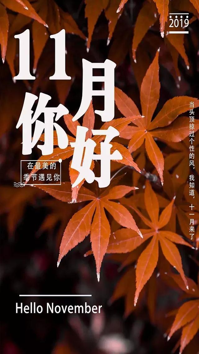 11月早上好正能量问候语录说说十一月励志阳光句子图片加字