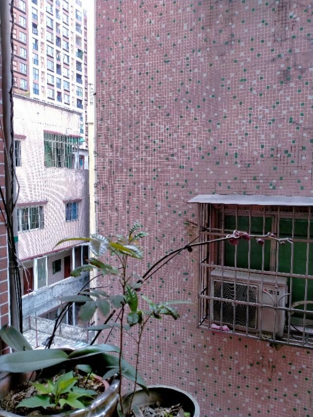 头条问答 春分至 百花开 各位兄台手中可有繁花似锦的图片能贡献出来让尔等共享 2个回答