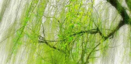经历了这次疫情,今后你会拼命攒钱未雨绸缪,还是有钱就花及时行乐？