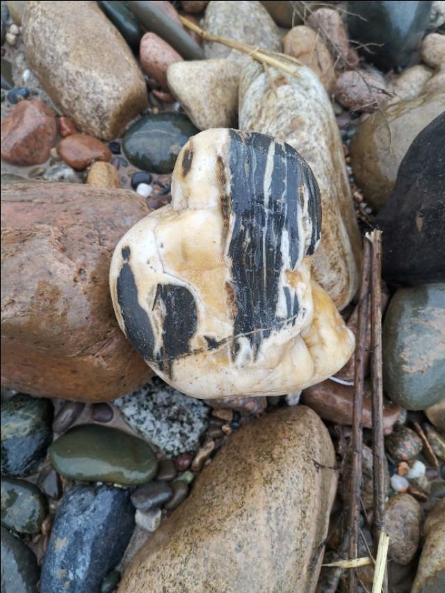 撿石頭的視頻自媒體(種莊稼的地裡石頭多怎麼辦?