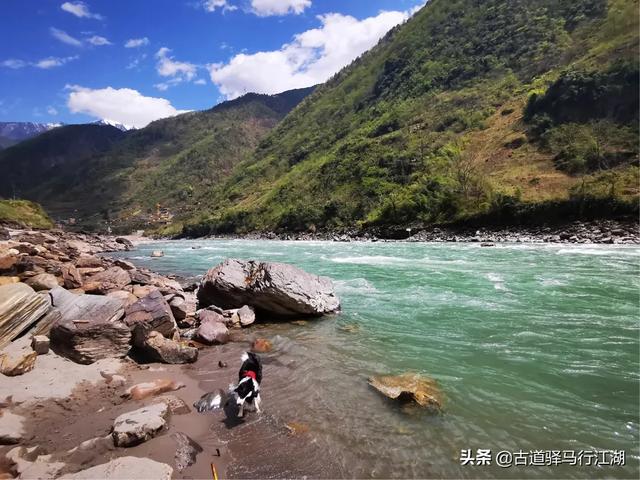 爱与狗同行剧照:大家都是怎样看待《与卡戴珊同行》这个剧的呢？
