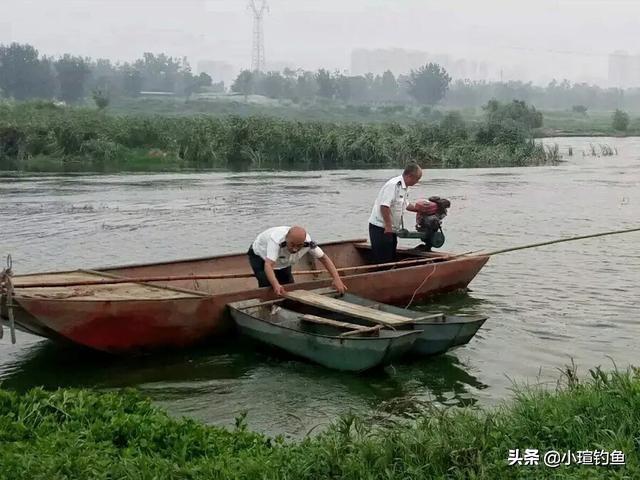 钓鱼猫现身柬埔寨爱捕鱼:什么情况下，鱼最活跃，最适合垂钓？ 钓鱼猫现身柬埔寨