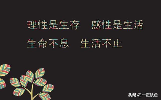 抖音唐艺老公是谁:你怎样看在抖音上炫耀孩子（学习习惯）、家庭、老公，反感吗