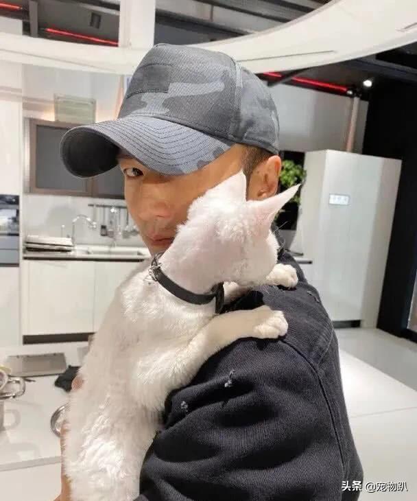 金希澈收养雪莉的猫:金希澈与momo恋爱了，你更希望爱豆对象是圈内人还是圈外人？