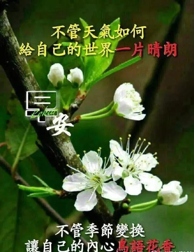 冬天早上好问候语祝福语 冬天早安表情图片大全