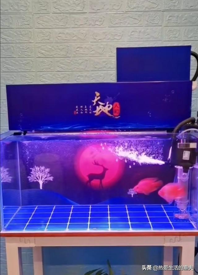怎样自制金鱼缸过滤器:上滤带盖的水族箱，过滤效果不好，请问如何改进？