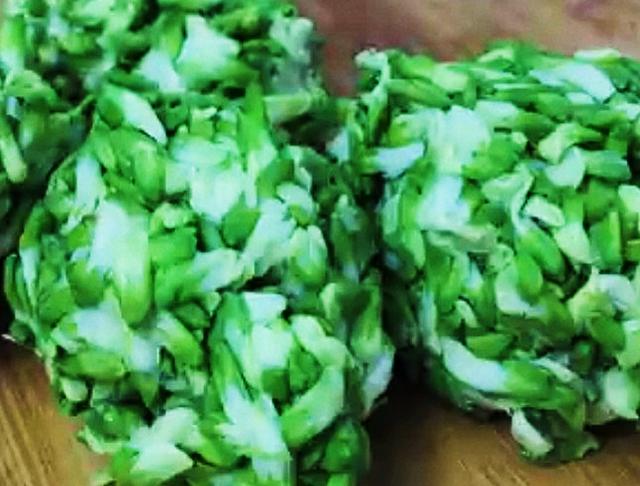 洋槐:洋槐树 过去的人们为什么爱采食洋槐花？你吃过洋槐花吗？