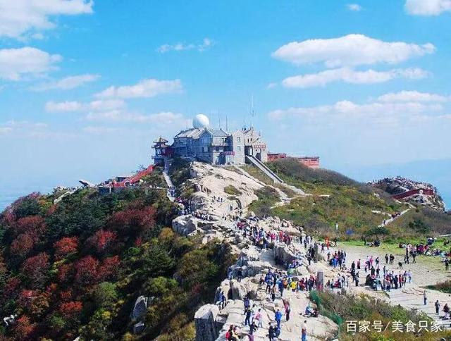 李娅 过山风:阴阳师中茨木，云外镜，山风，御怨般若养哪个好？