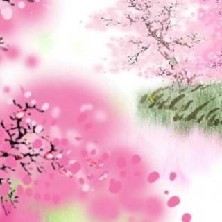 《江畔独步寻花》写的是什么花？