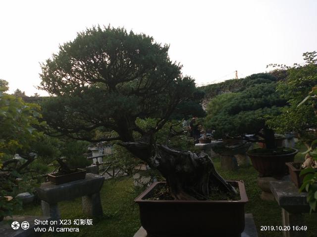 不想打工,不知道干什么,感觉人生很迷茫怎么办？