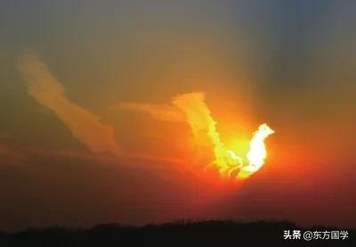 孔子鸟价值多少钱:我感觉始祖鸟的产品并不好看，它为什么卖那么贵？