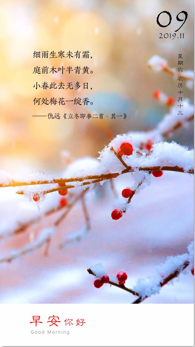 11月9日早安正能量日签:不用眼泪博得同情,而是用汗水赢得堂声