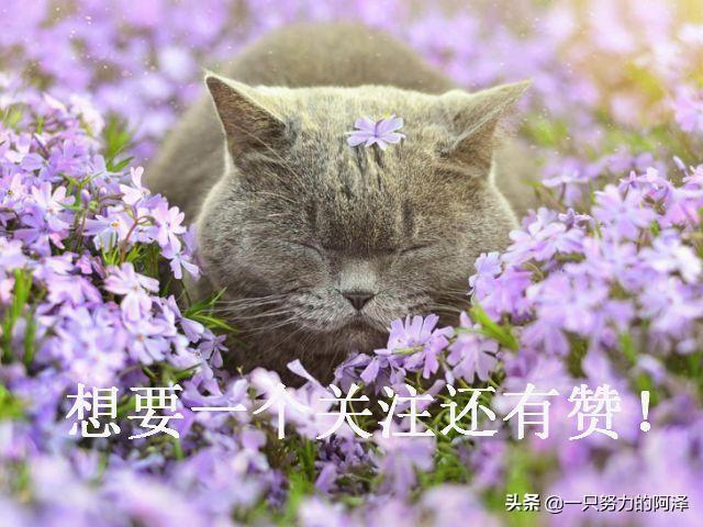 朴信惠男友:你见过的喝醉酒的人能醉到什么程度？发生过什么趣事？