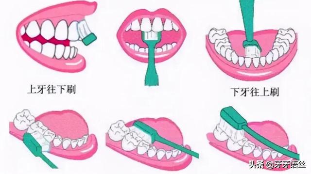 牙线棒的使用方法(牙线棒的用法)