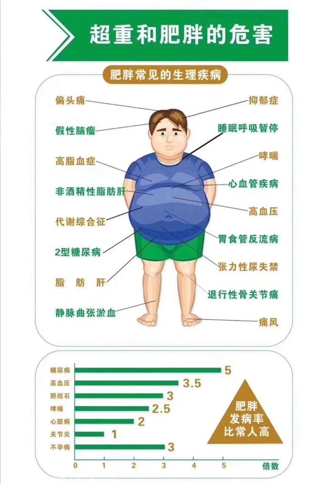 头条问答 - 为什么医生要求肥胖患者减肥?(23个回答)