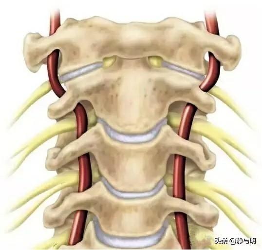 颈椎病有哪些症状 如何更好的预防颈椎病 我在草上飞啊的回答 悟空问答