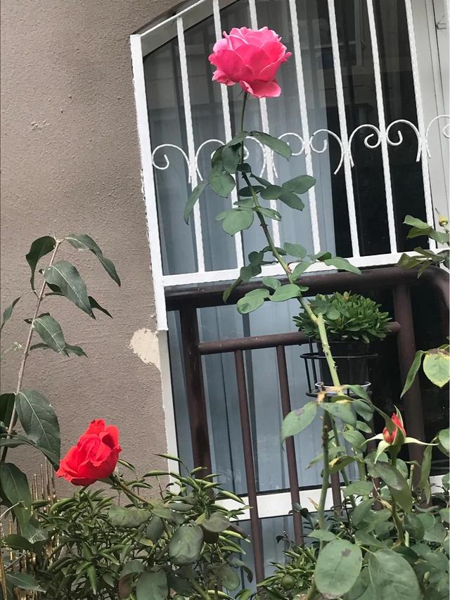 色狗影院121:有哪些堪比大牌的国货彩妆品牌？ 色狗影院 magnet