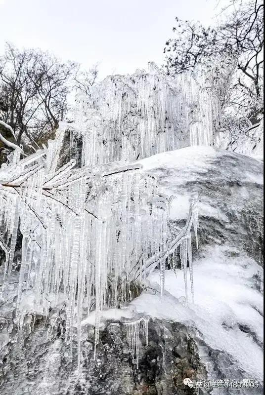 柳宗元的作品:柳宗元的《江雪》和白居易的《夜雪》都是写什么？如何评价？