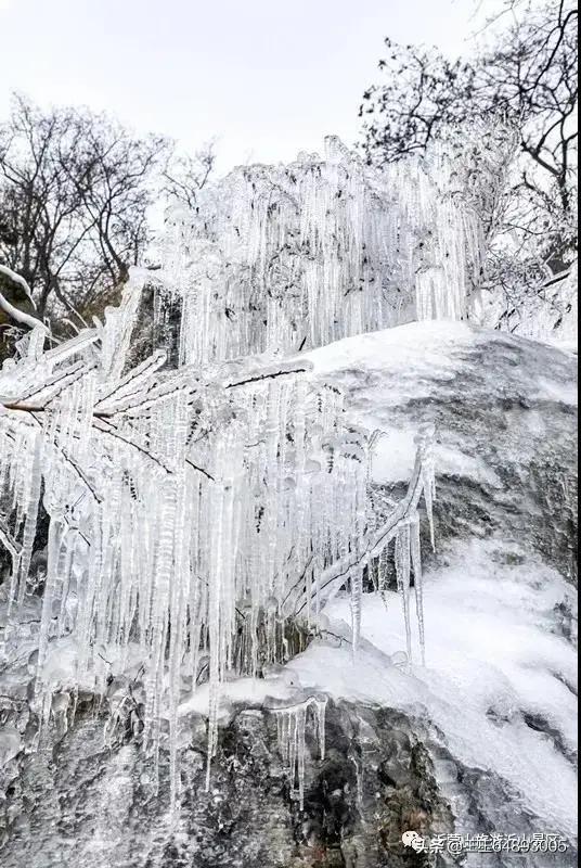 柳宗元的《江雪》和白居易的《夜雪》都是写什么？如何评价？