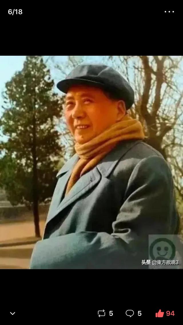 网友争相晒巨猫:漫威“复联内战是因为一个瓶盖”是什么梗？