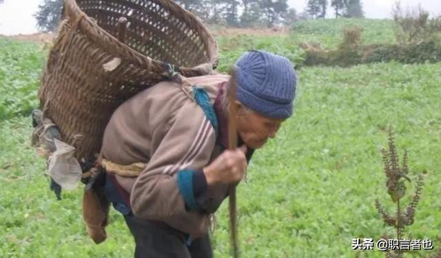 中央对65岁以上老人有什么新政策？插图82