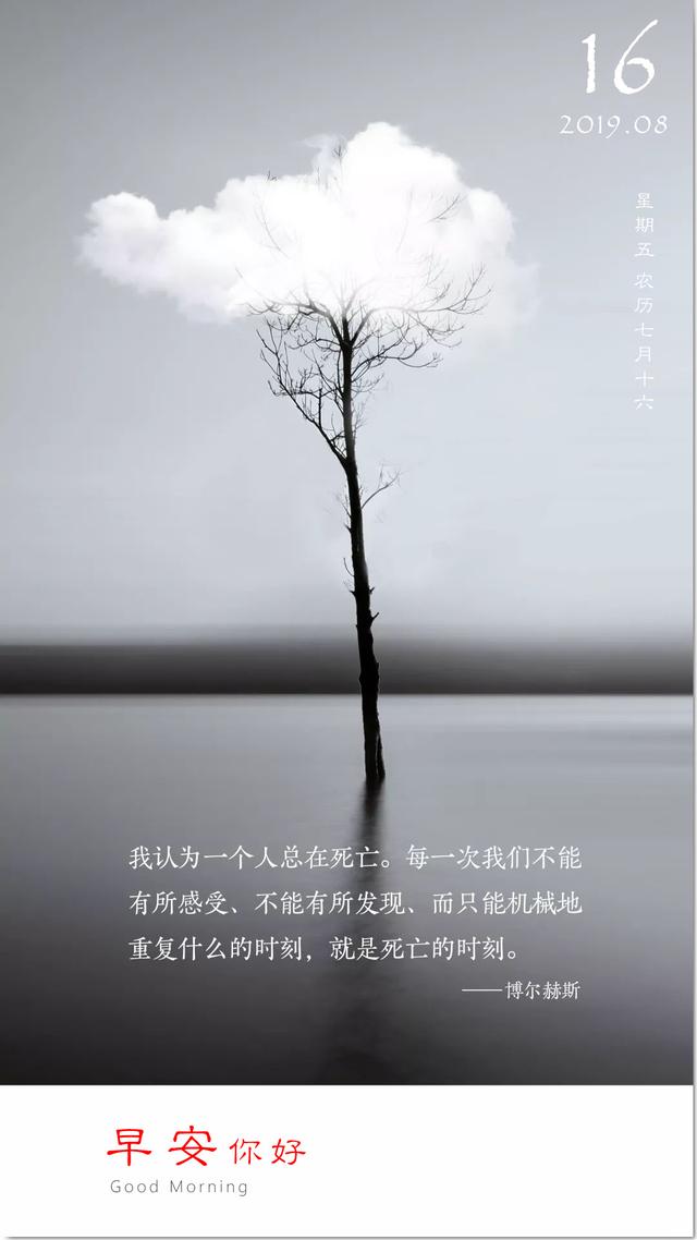 早安图片日签周五190816：只过好当天的日子，也不失为一种智慧