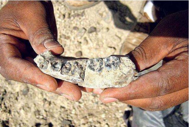 有人发现奥特曼化石，38亿年前的人骨化石已被发现，地球生物史到底是怎样的？
