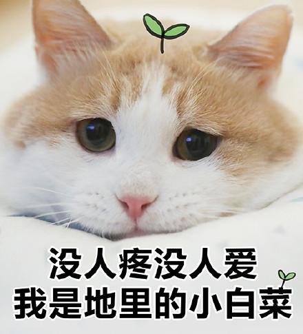 在家带孩子了的女的就是混吃等死没生存能力的废物嘛？