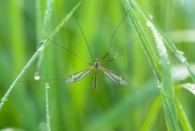 家住别墅是什么样的感觉？插图5