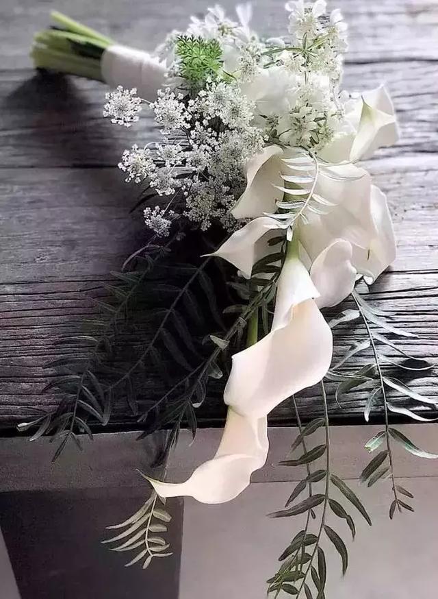 晚安说说语录190421：自嘲是最高境界，而不是嘲笑别人