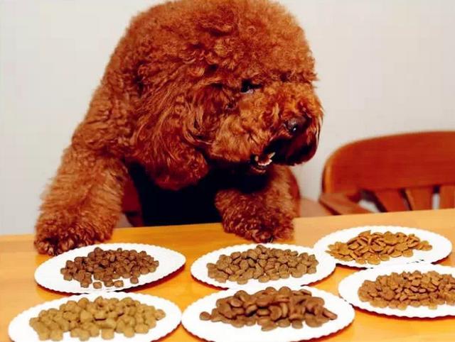 单身狗粮品牌:想问问大家国货的狗粮中，哪个牌子的比较好？