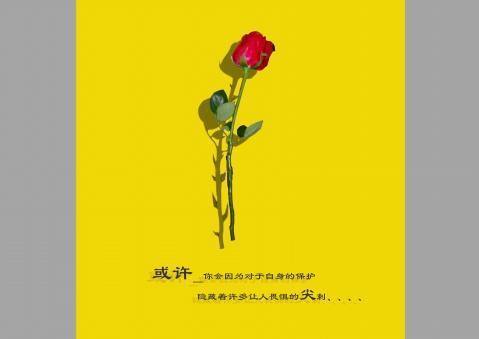新几内亚歌唱犬灭绝:现在的感情这么不值钱么？