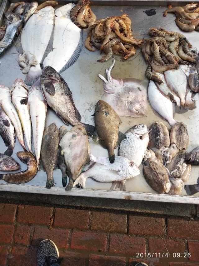 老渔民教你正确烹饪皮皮虾，渤海湾已经开始休渔期了，哪里还来的那么多皮皮虾和海鲜啊
