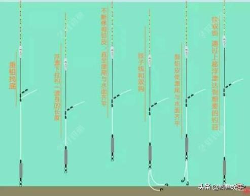 猫用尾巴钓鱼废那个视频:挂玉米黑漂了为什么打不中？ 猫用尾巴钓鱼