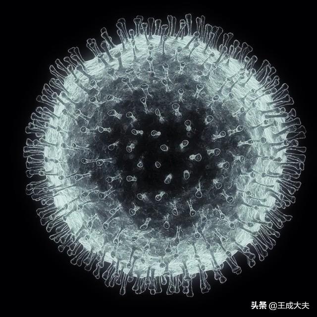新冠疫情再现超长潜伏期？，新冠病毒有可能长期伴随人类吗如何应对