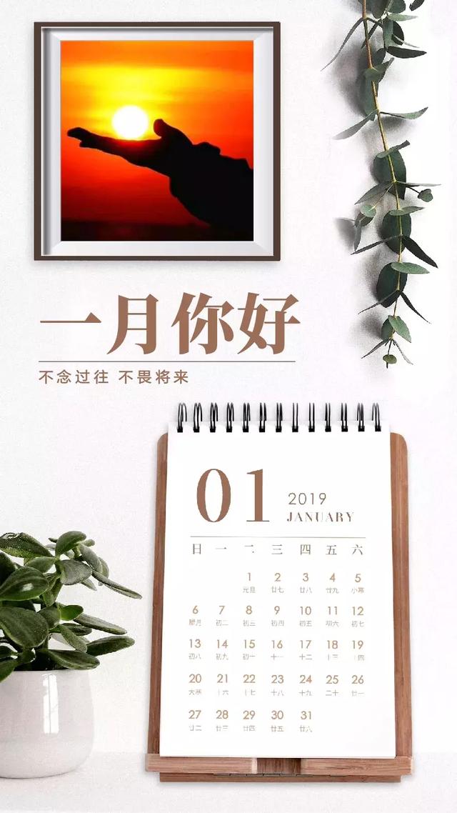 2019励志早安心语图片：年轻还是老去，都要拥有最用心最温柔的绽放