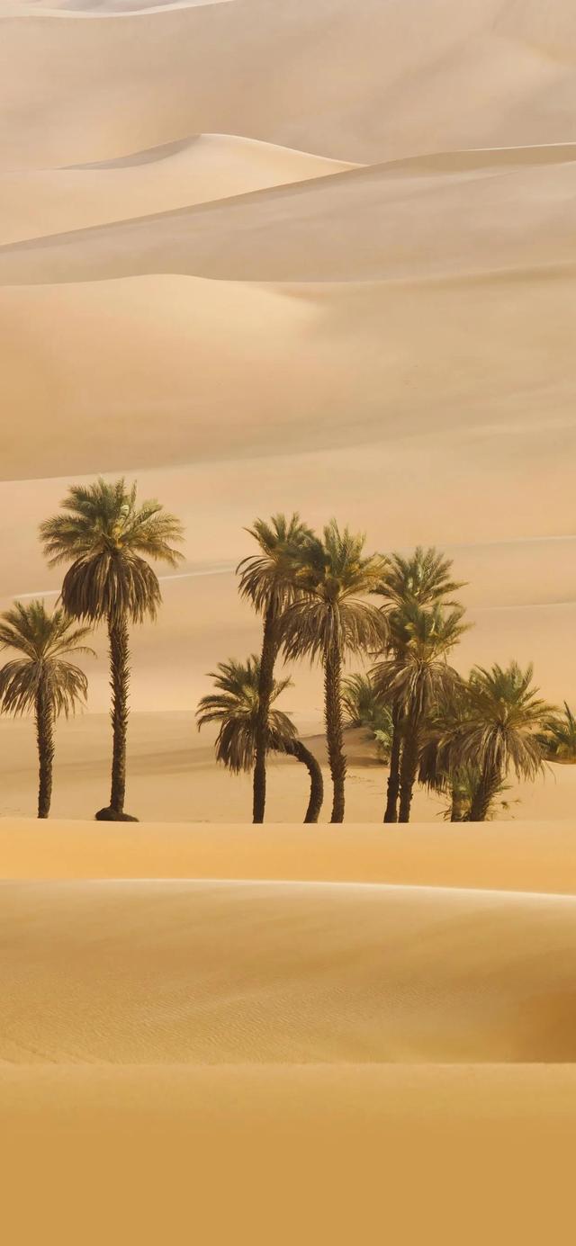 沙漠风的苹果7p壁纸都有哪些