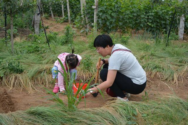 狗茎蝴蝶结滑入:地里长出锁锁依怎么出里完？
